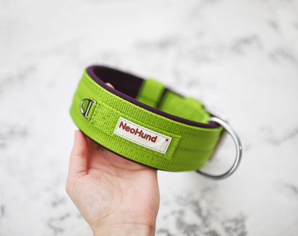 Ошейник For Motion, лайм/слива