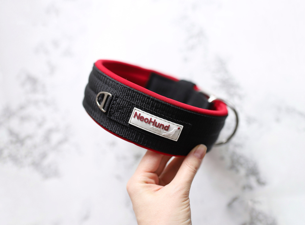 Ошейник For Motion, чёрный/красный