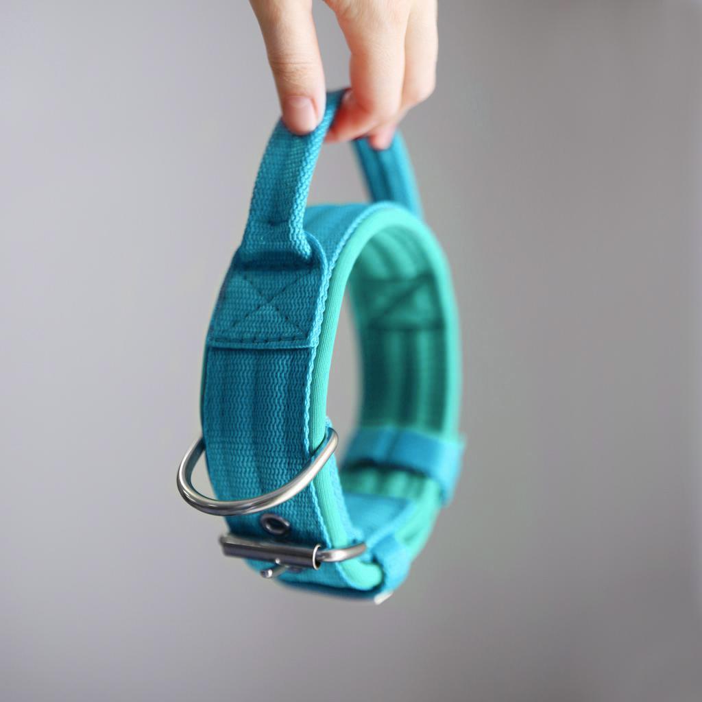 Ошейник For Motion с ручкой, бирюзовый/мятный