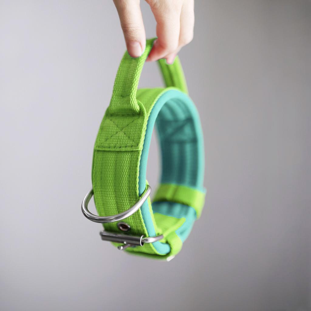 Ошейник For Motion с ручкой, салатовый/мятный