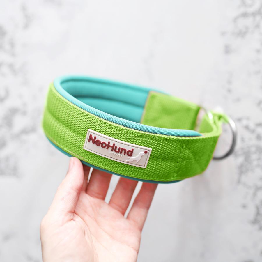 Ошейник-мартингейл Slip, салатовый/мятный