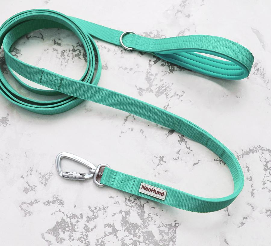 Поводок For Motion, мятный/мятный