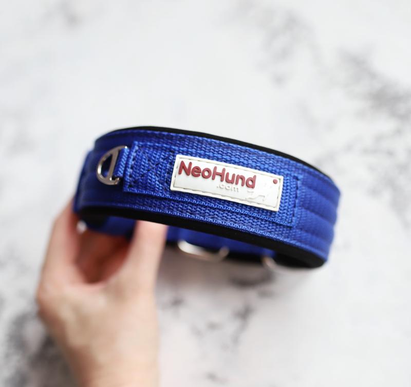 Ошейник For Motion на пряжке яркий синий, ширина 4,8 см, размер 30-40 см