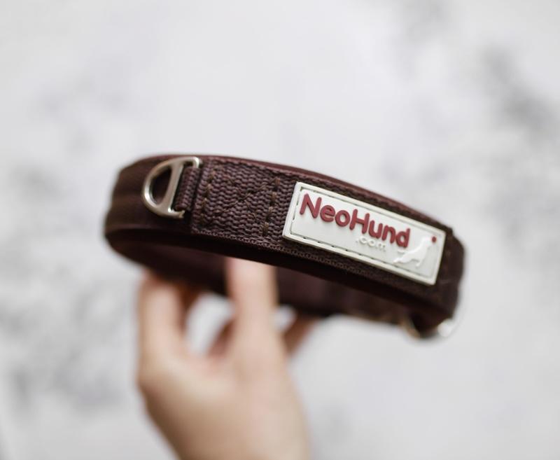 Ошейник For Motion на пряжке тёмный шоколад, ширина 3,2 см, размер 30-38 см