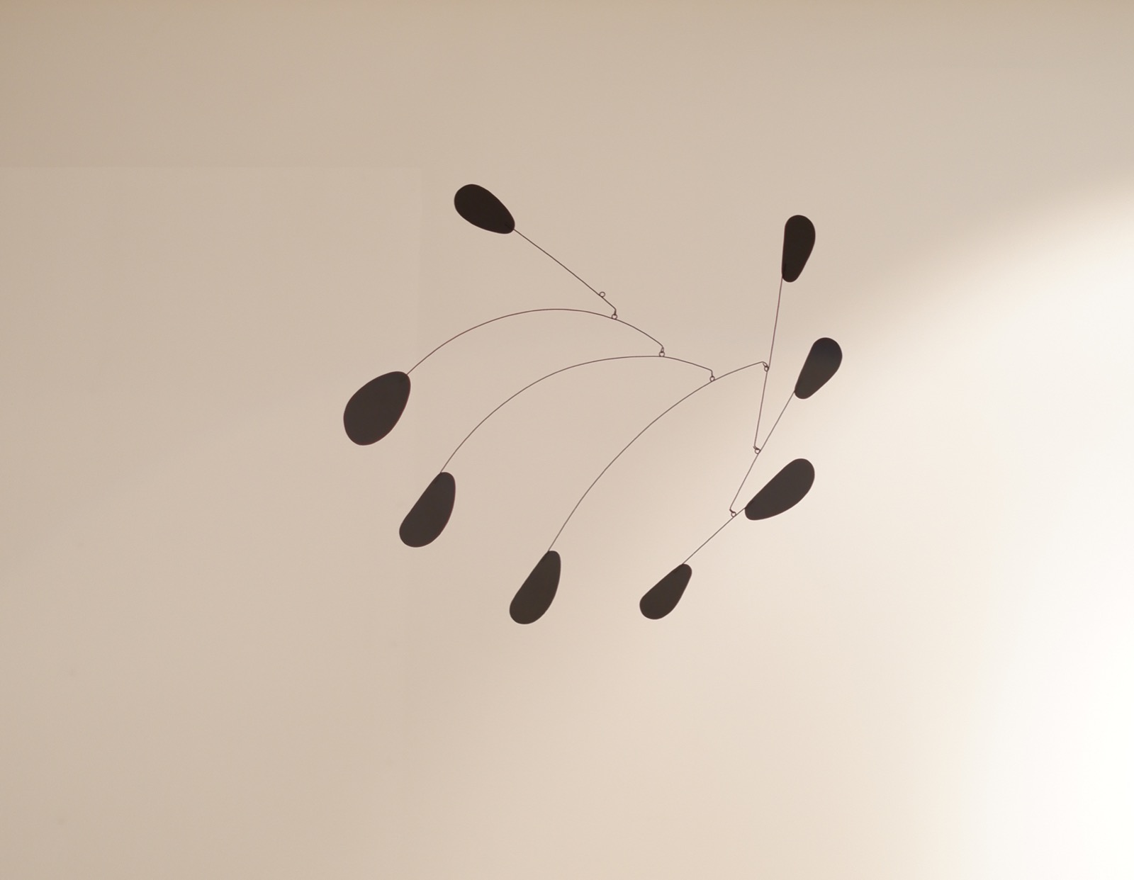 Black interior mobile