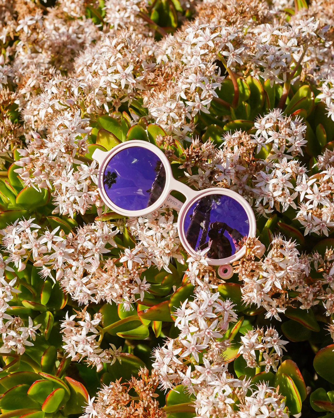 Очки  BABY Round Sunglasses-Classic Olivio-Coral Blush 0-24 месяцев