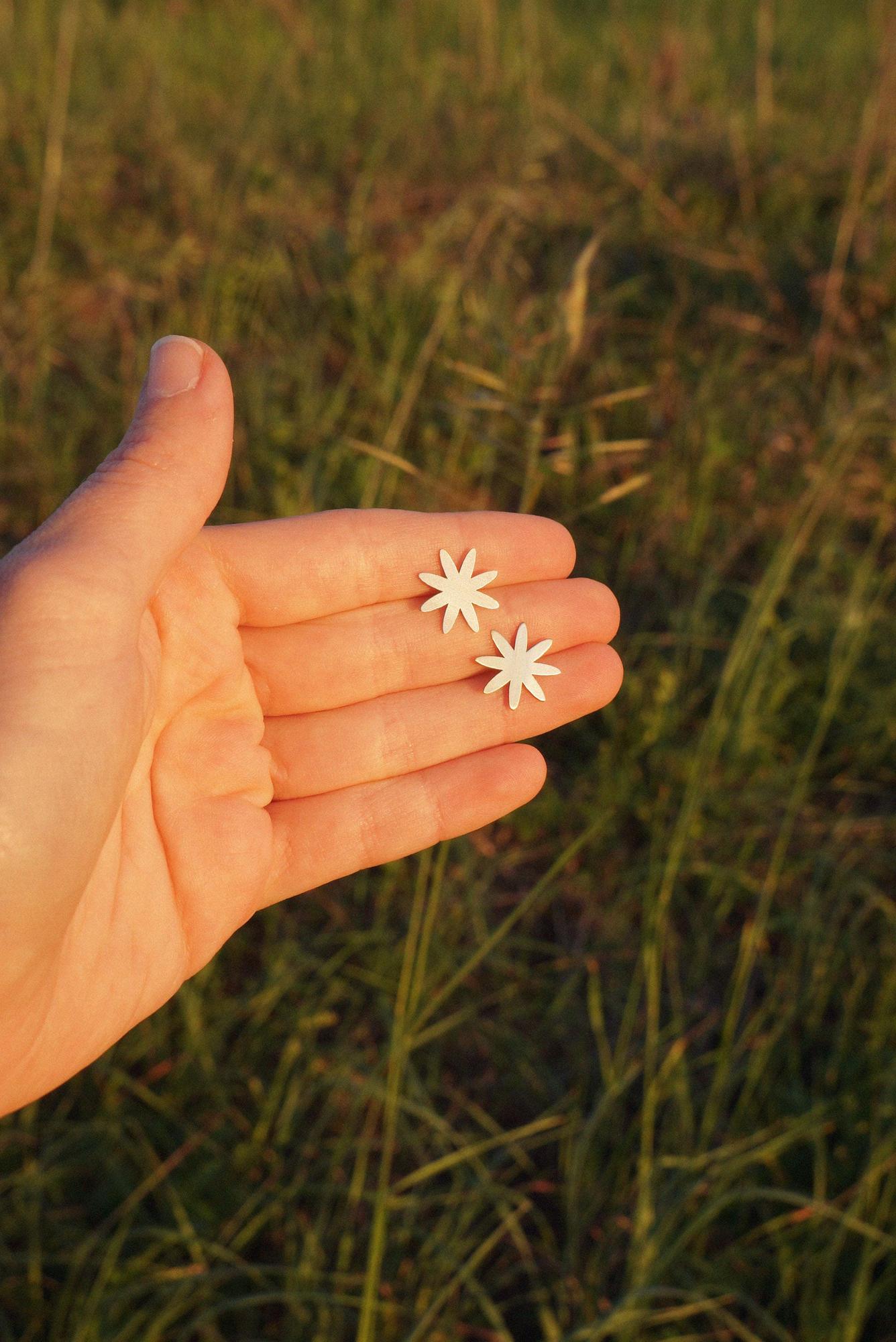 Маргаритка