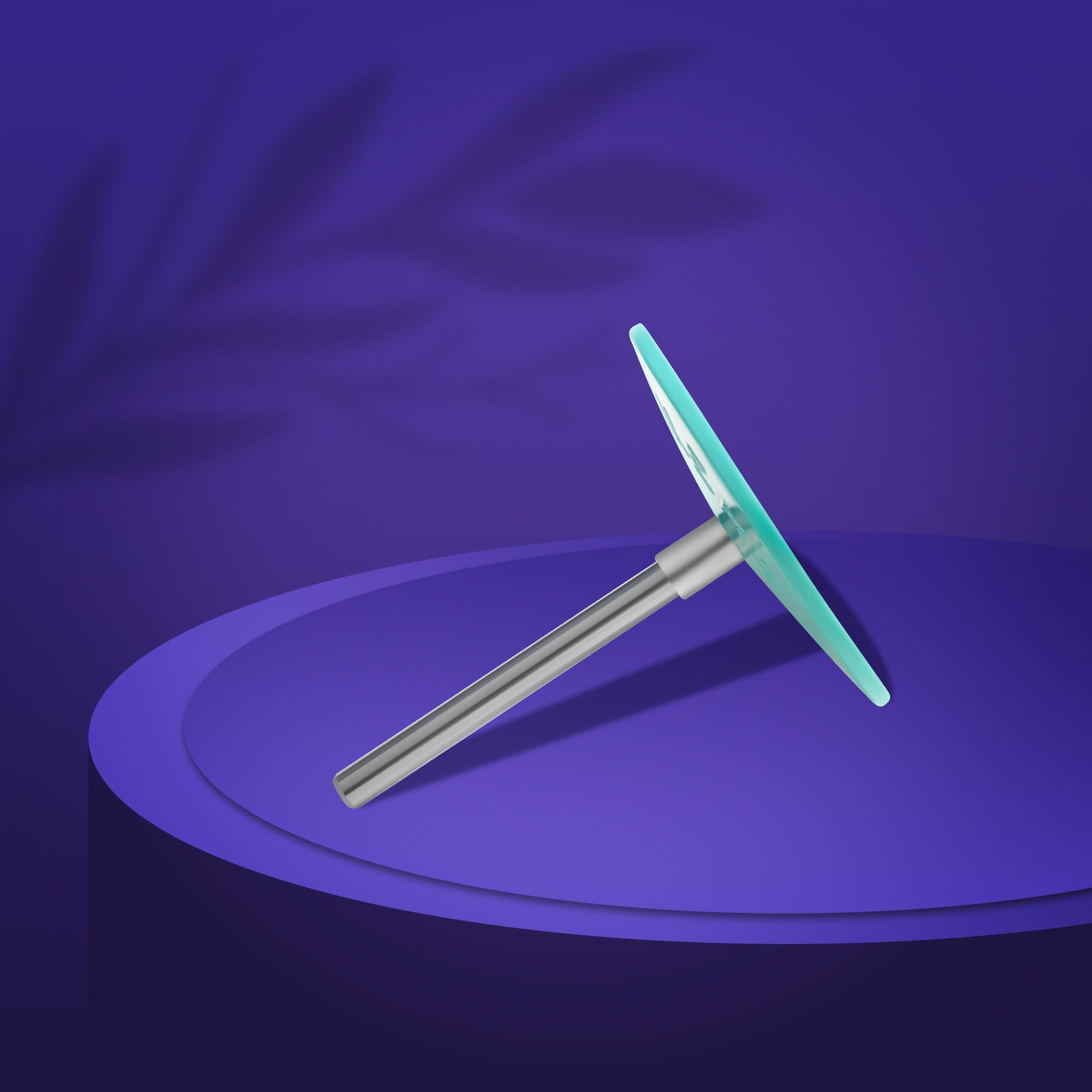 PPDset-25 Педикюрный диск пластиковый PODODISC "L" в комплекте с сменным файлом 180 грит 5 шт (25 мм)