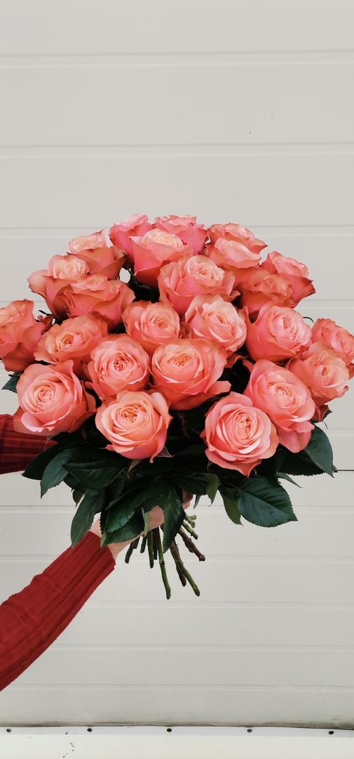 Роза Кахала