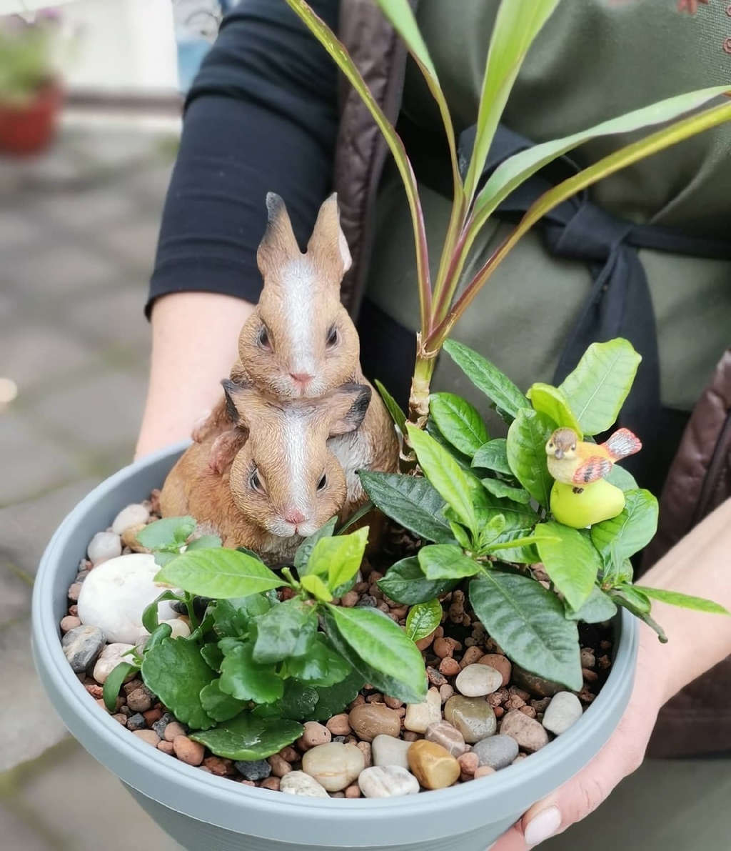 Мини-садик Зайки