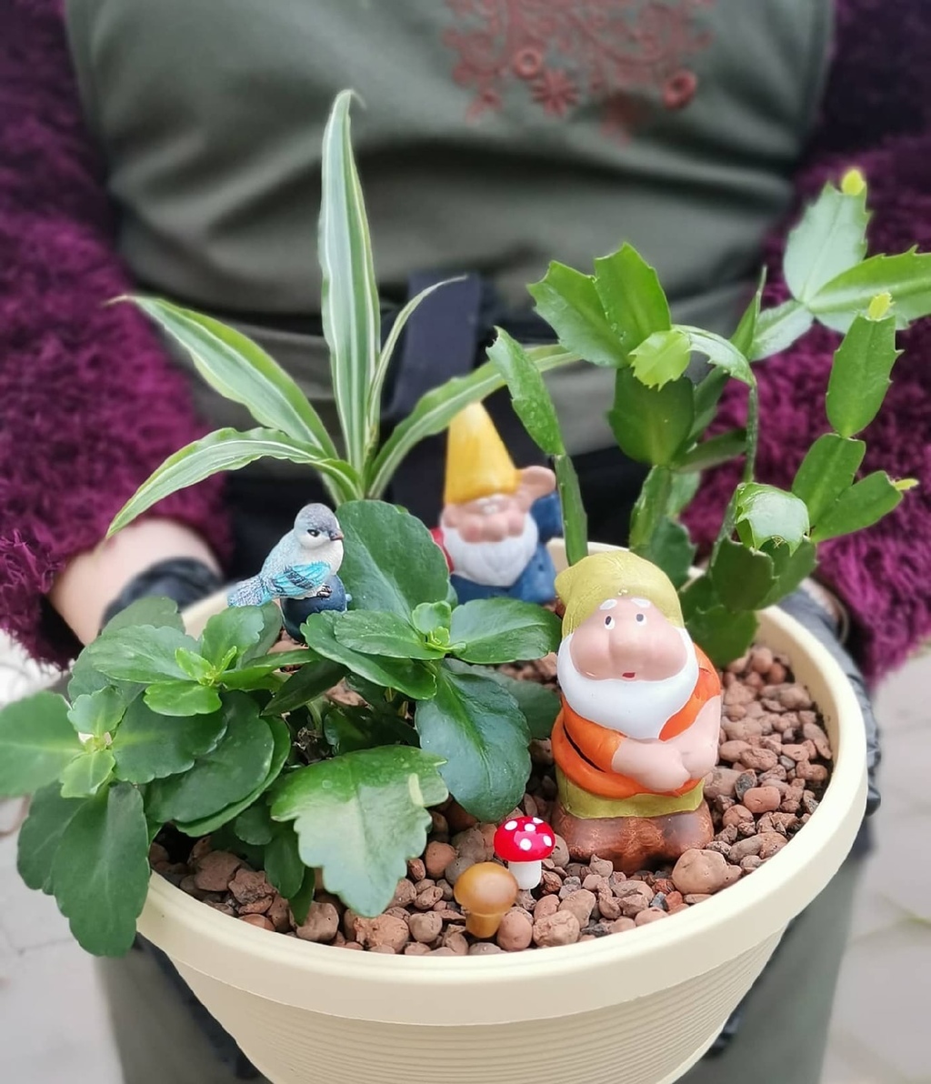 Мини-садик Гномы