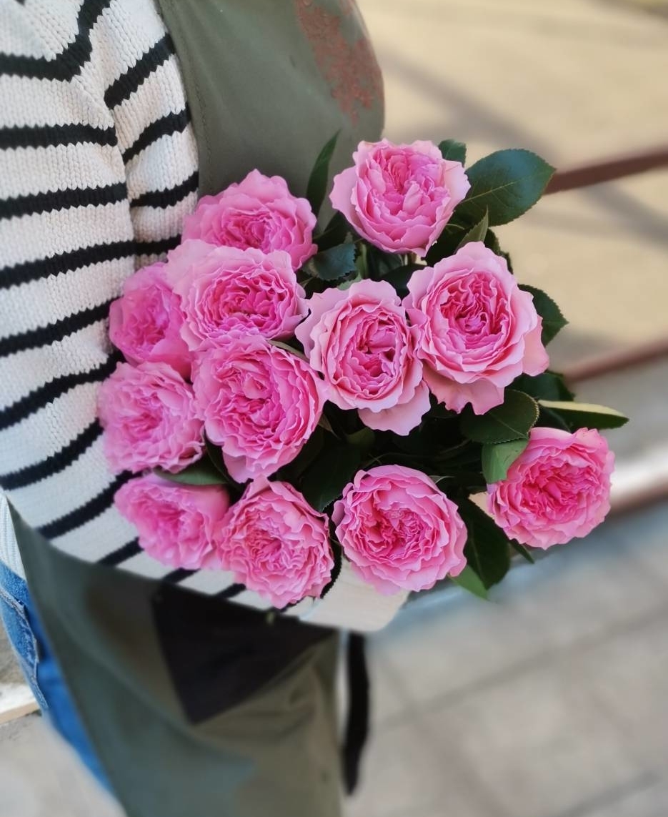 Пионовидные розы Майра Пинк