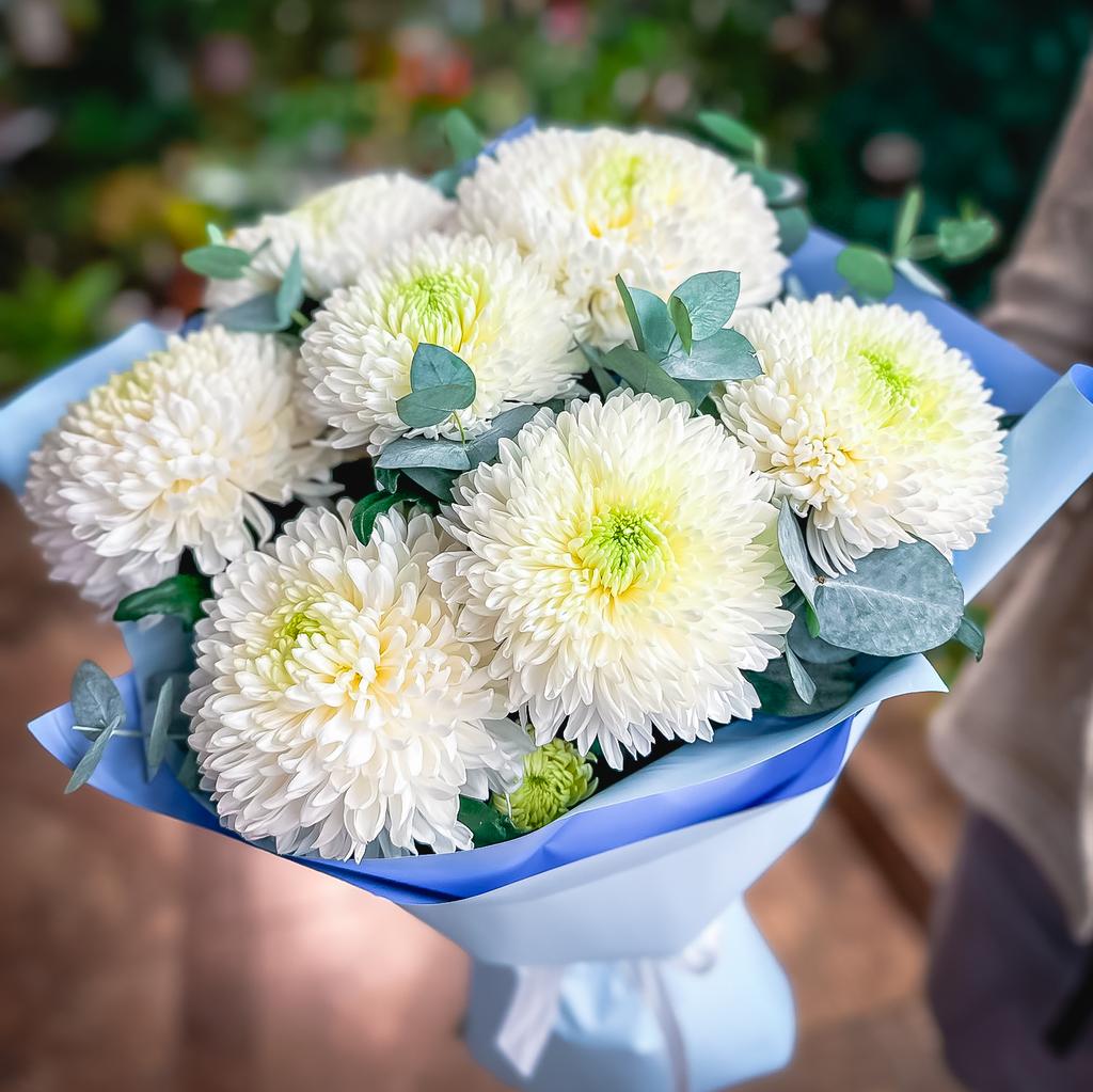 Белоснежный зефир