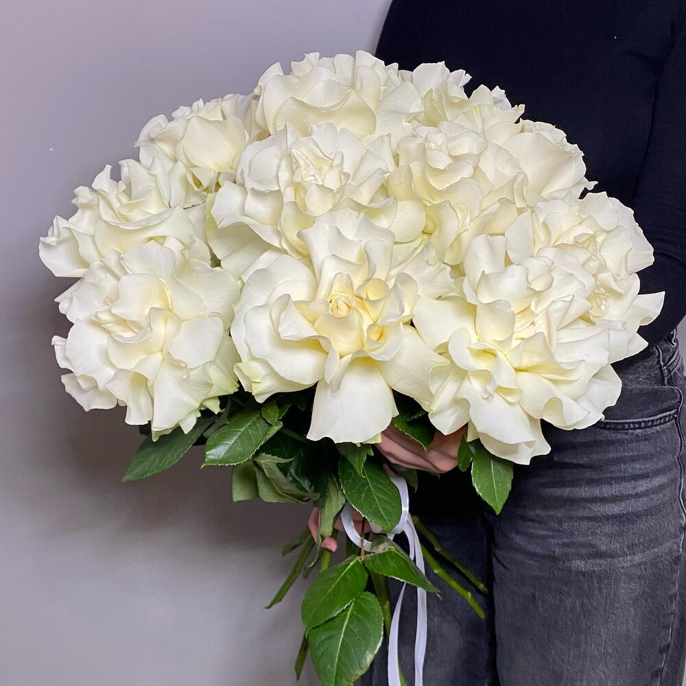 Белые розы под ленту 11 шт (Эквадор)