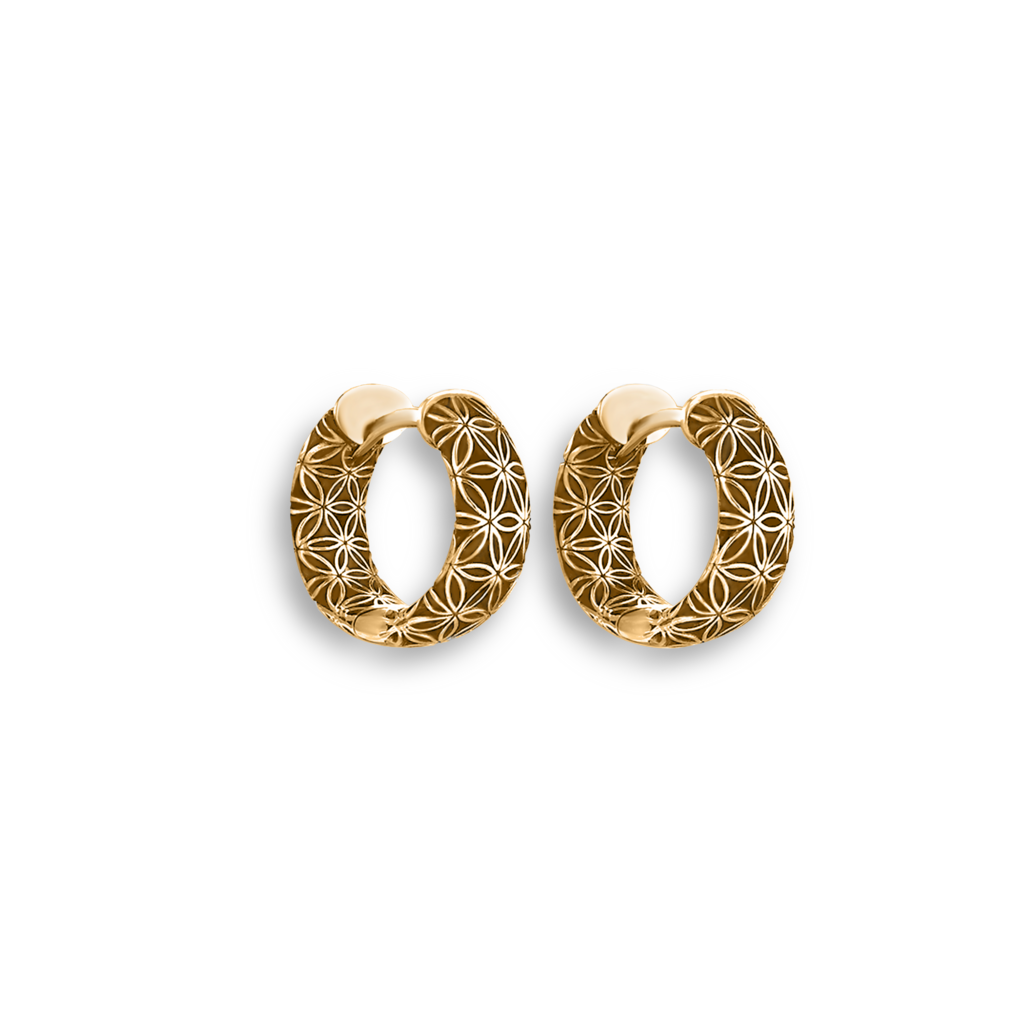 Серьги-барашки  "Просветление" (золоченые)