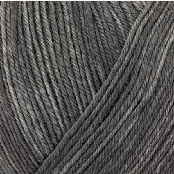 Silk Color пряжа Schachenmayr Regia Premium 99