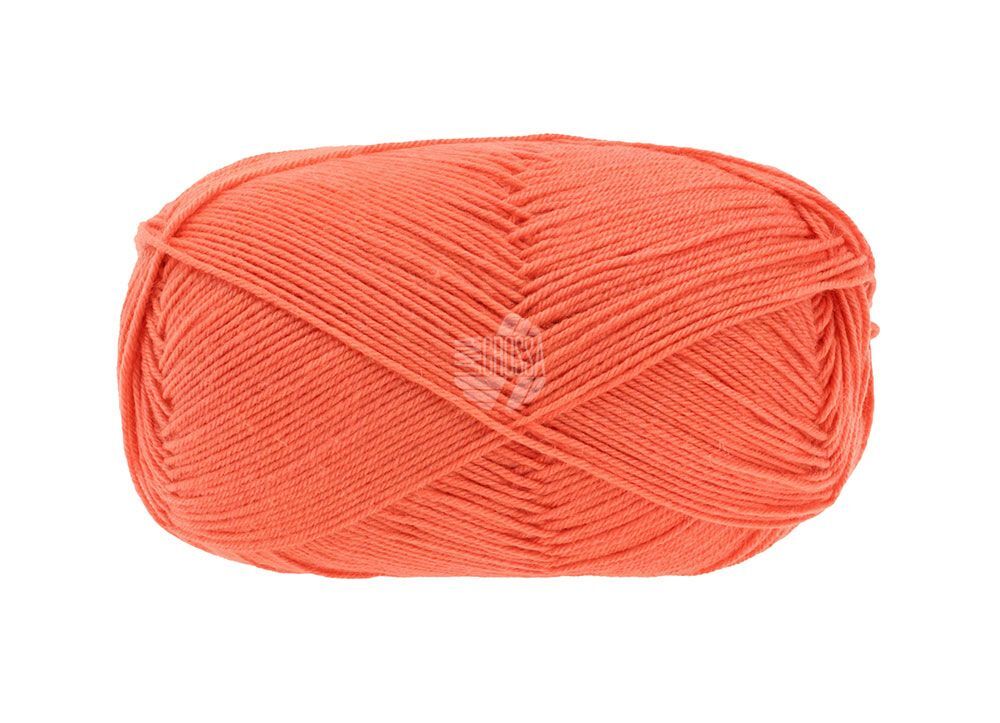 100 Merino Extrafine 2424