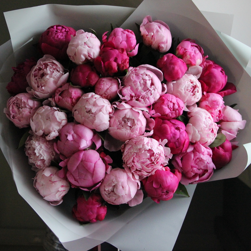 пионы розовые букет цветов