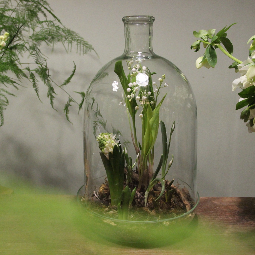 ландыши и подснежники вид 1