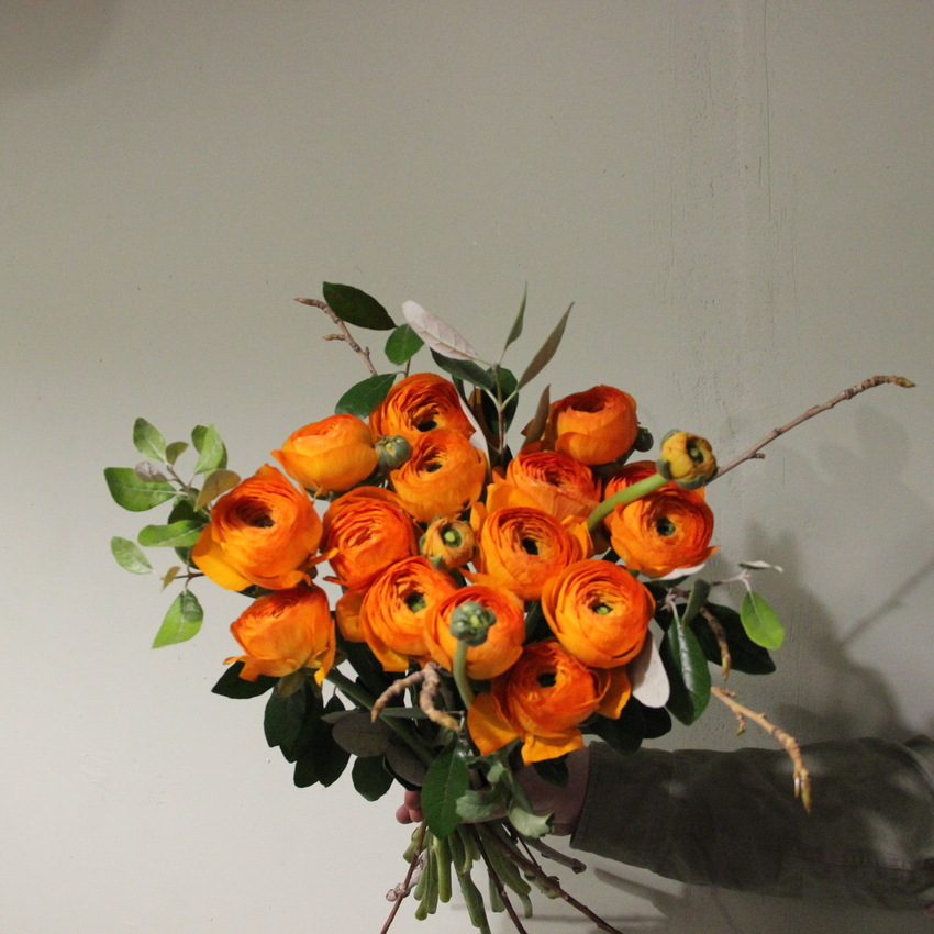 оранжевые ранункулюсы клуни вид 1