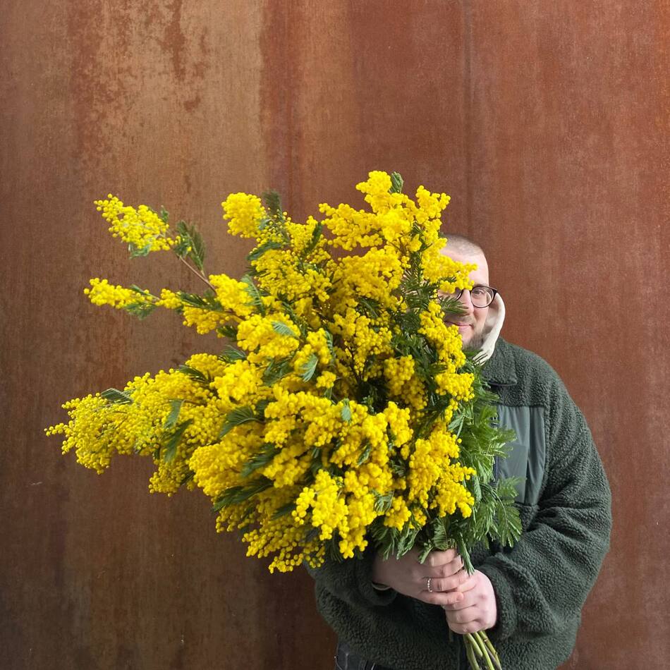 Букет мимозы акации жёлтой вид 4