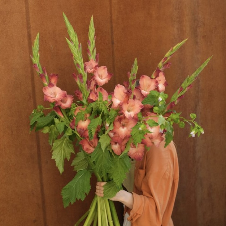 Гладиолусы и никандра