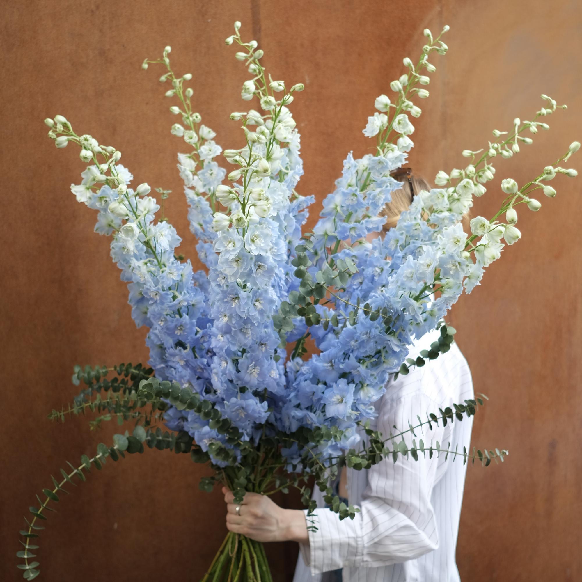 Дельфиниум и эвкалипт