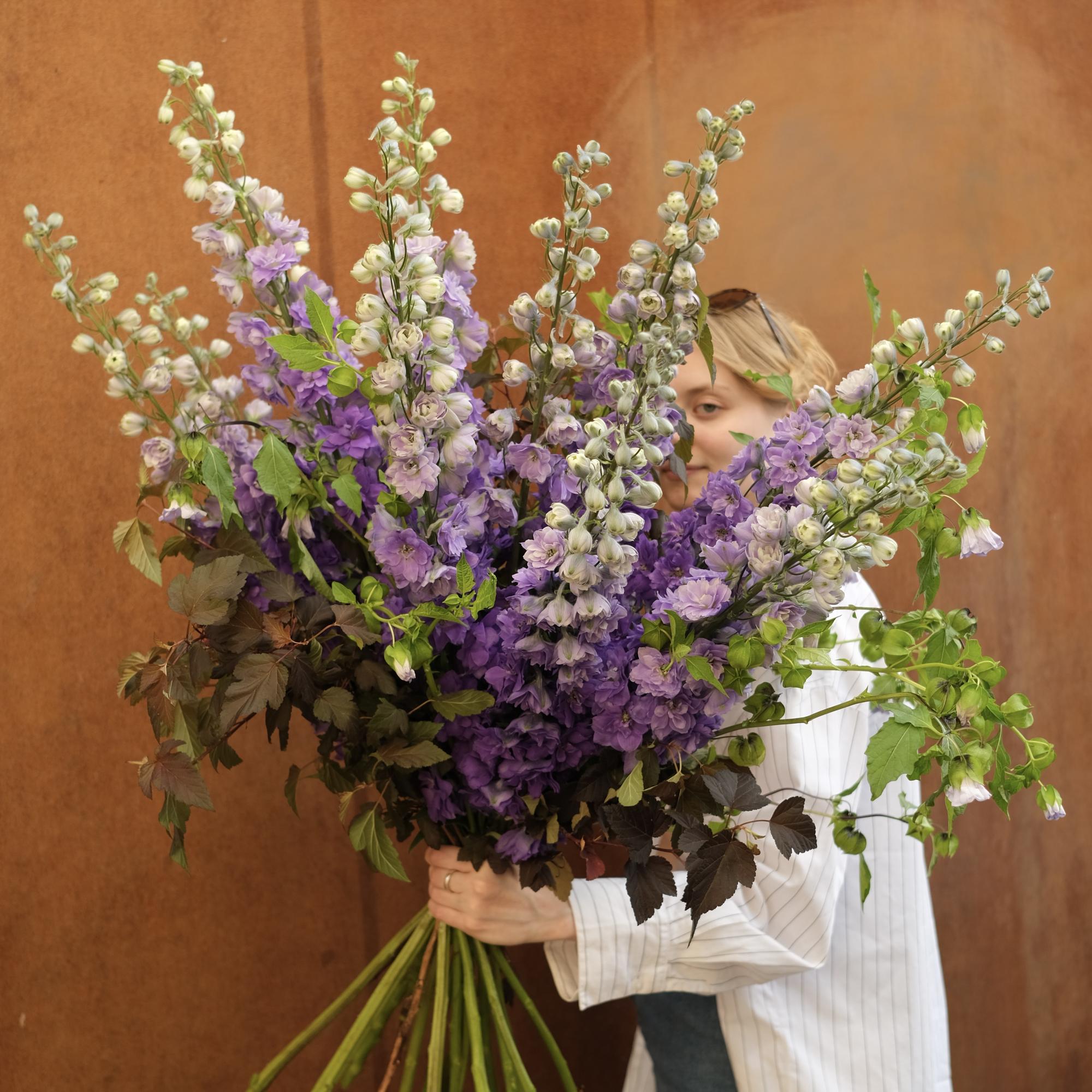 Дельфиниум и никандра