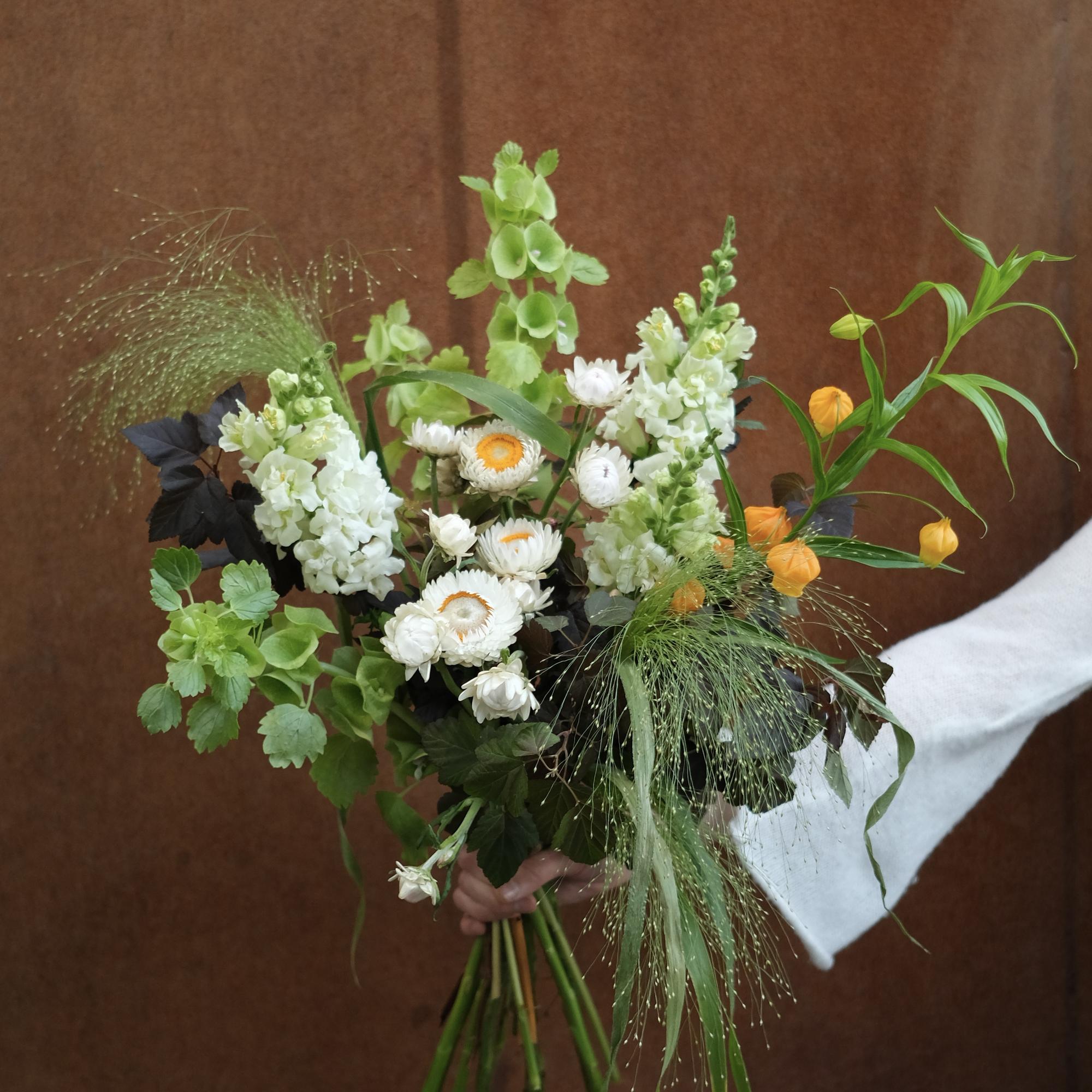 Златоцвет, фонарики и травы