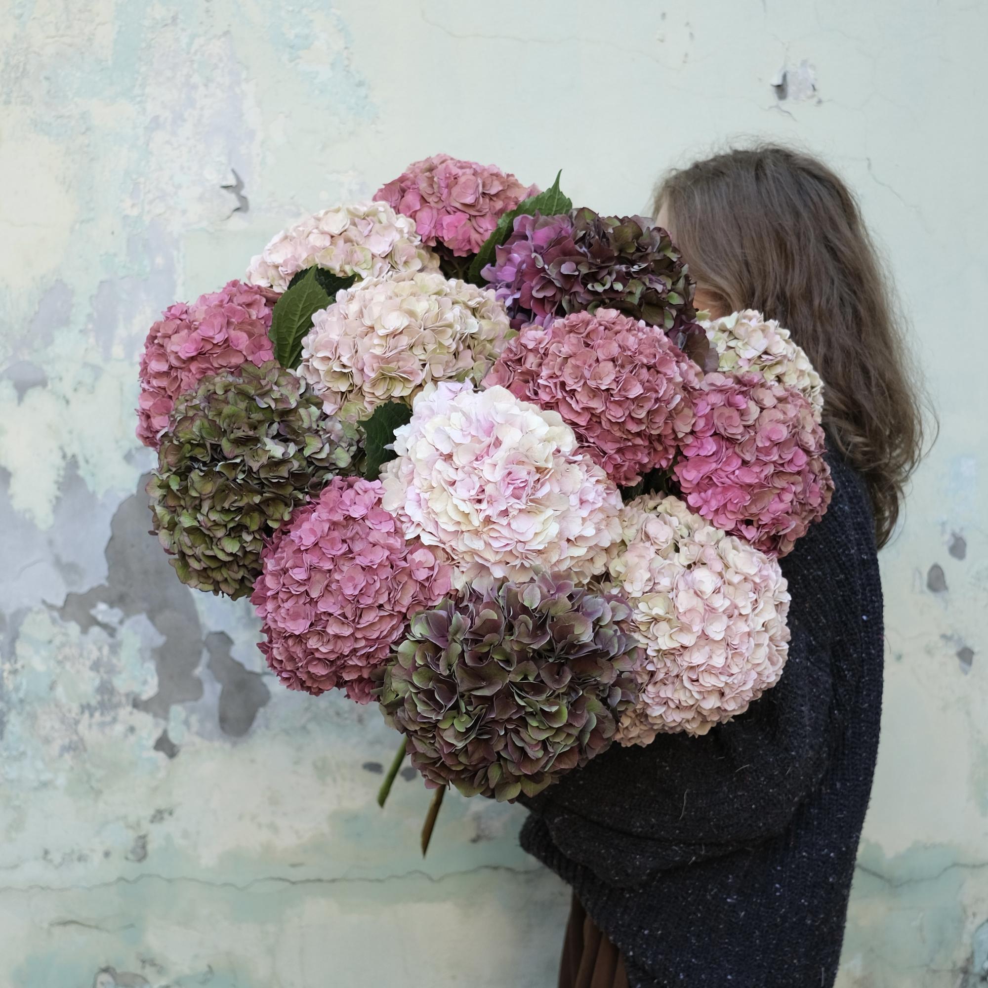 Большой букет пастельных гортензий