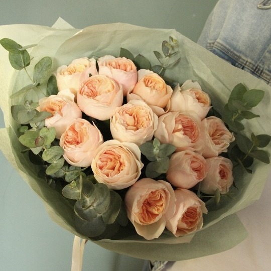 Пионовидные розы Juliet