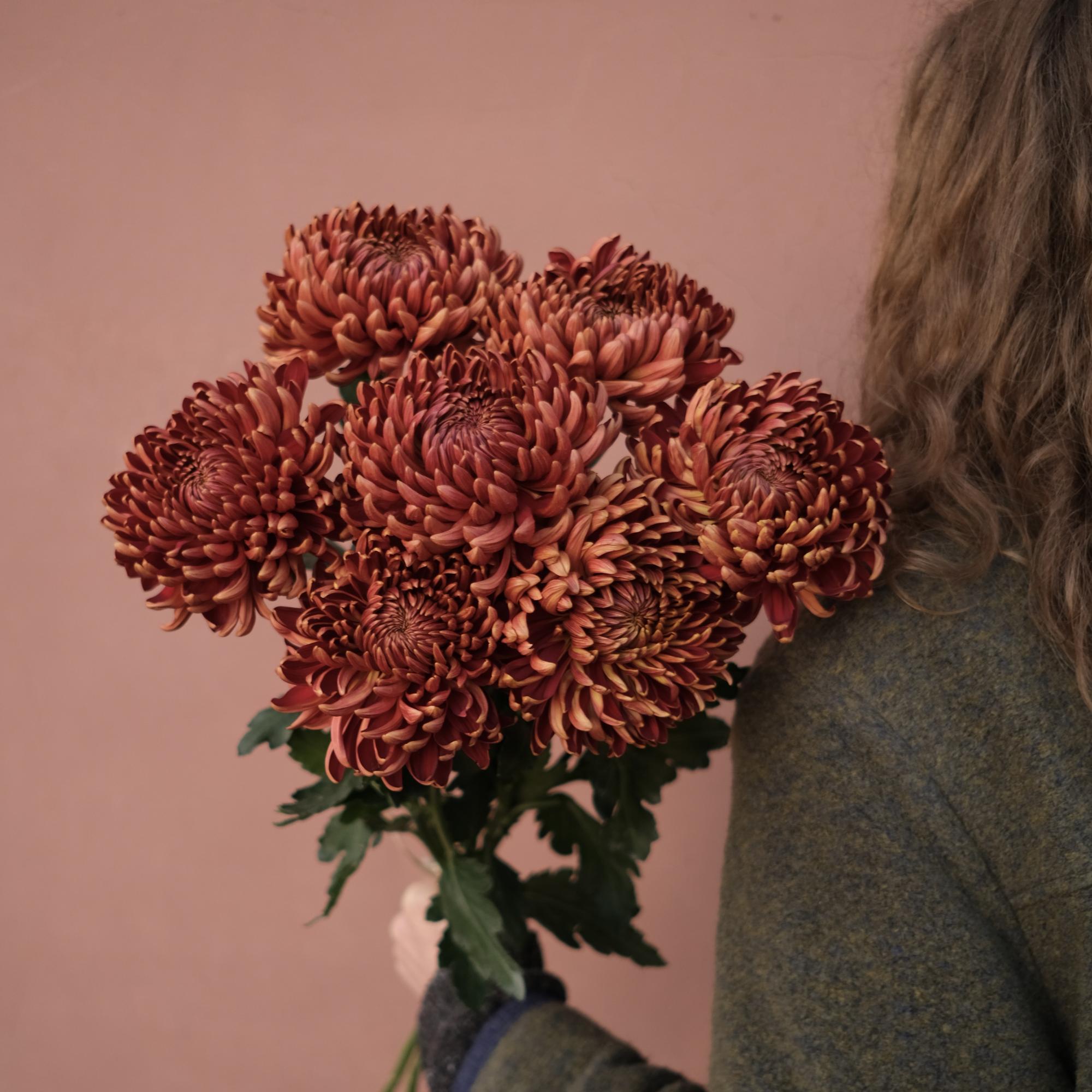 Бронзовые хризантемы