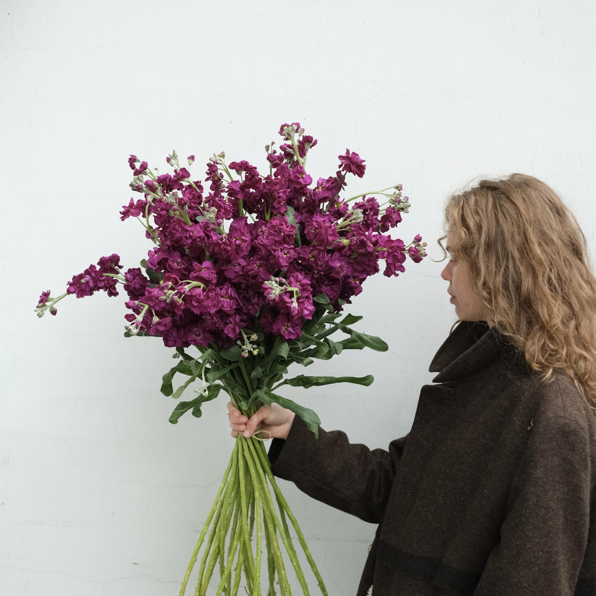 Большой букет маттиолы