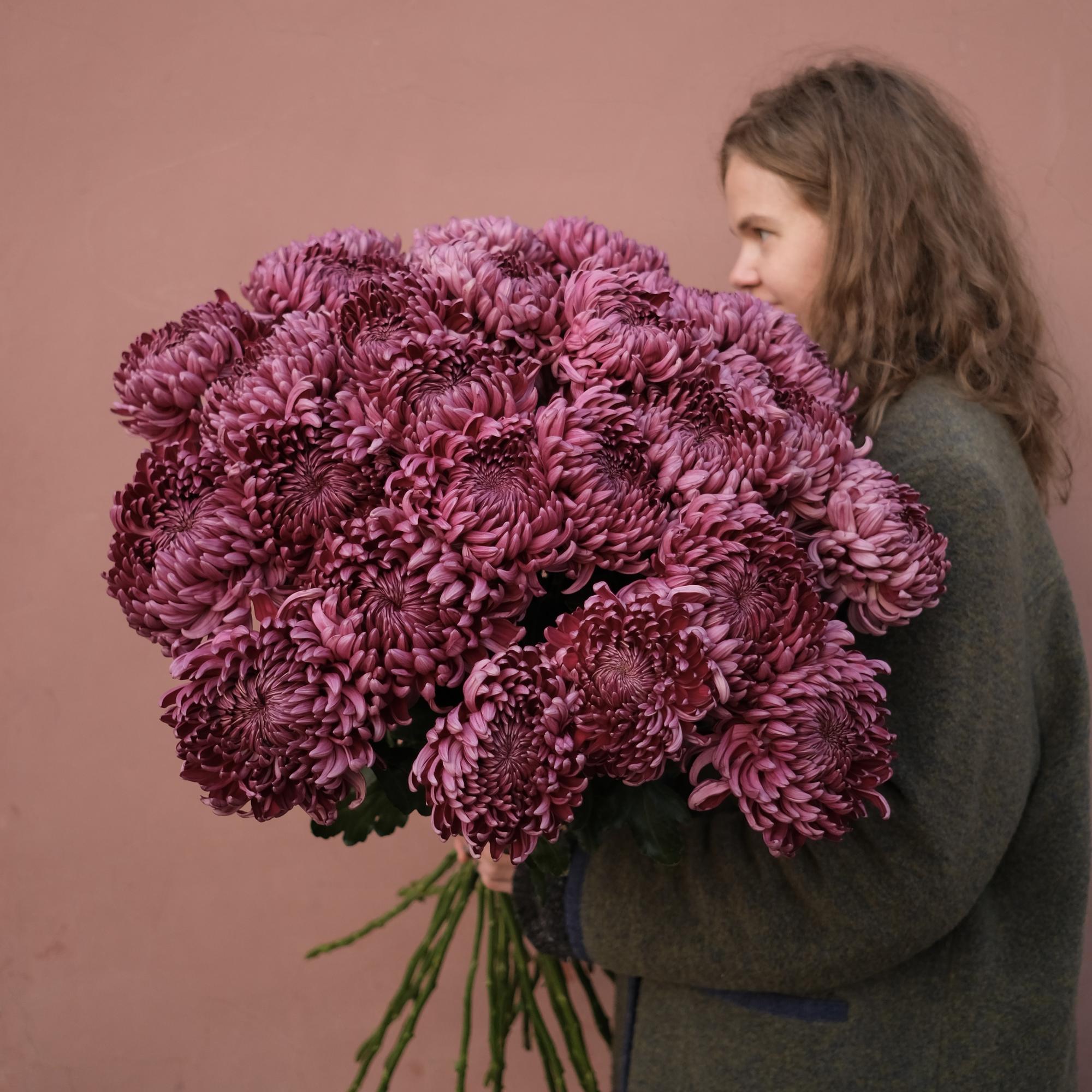 Сливовые хризантемы - Экстра букет