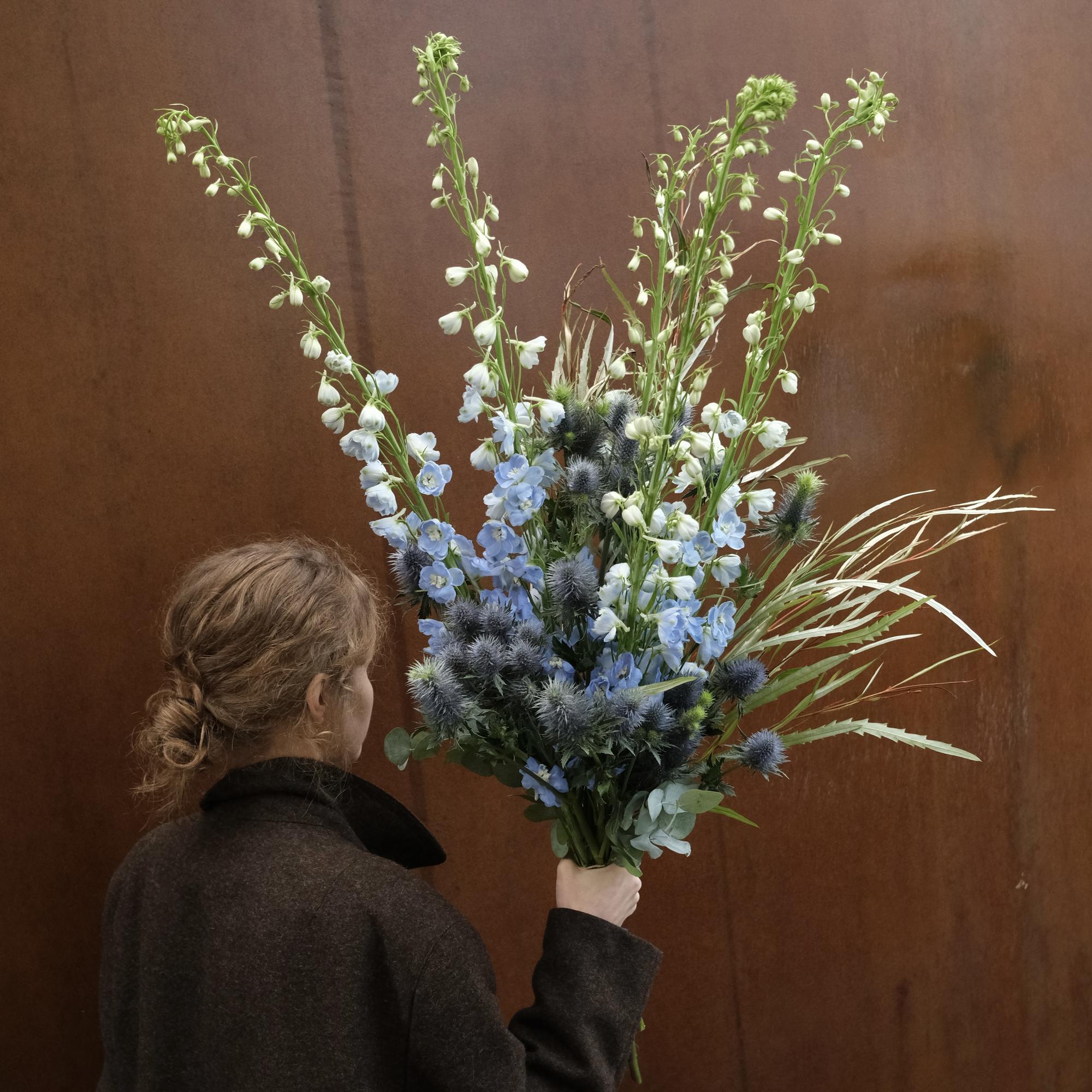 Дельфиниум, колючки и гревиллея