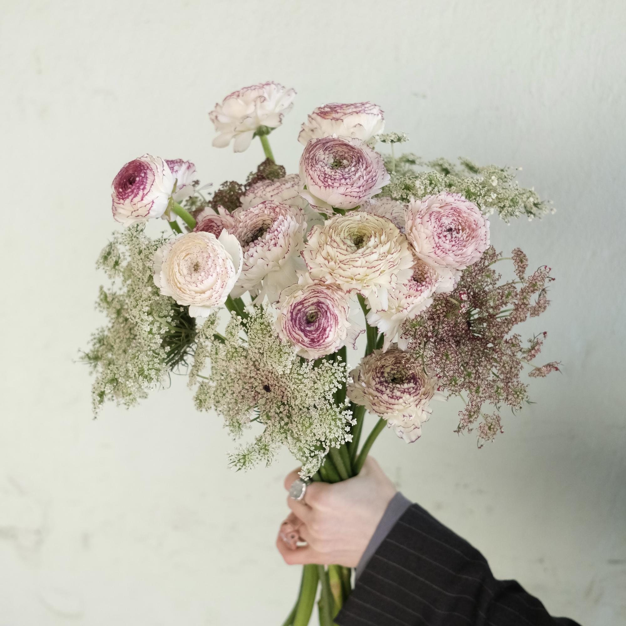 Ранункулюсы и морковка