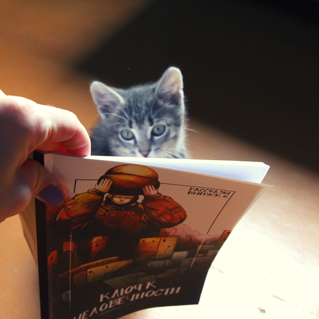 Меценатская, 6 выпусков