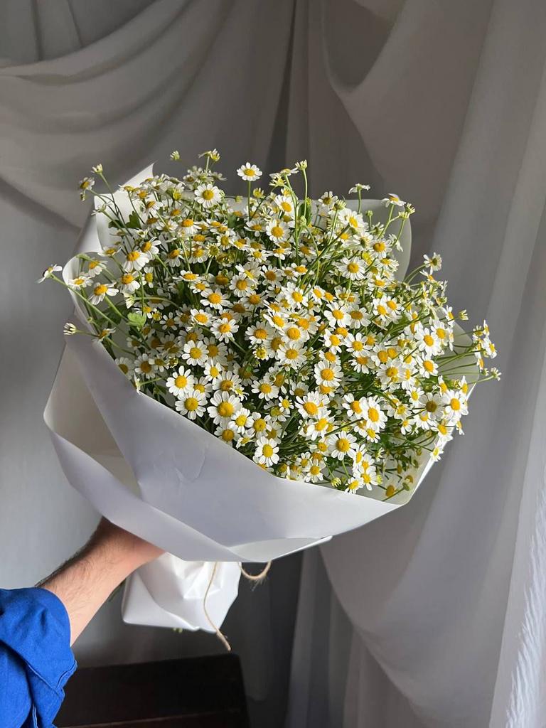 Ароматные ромашки