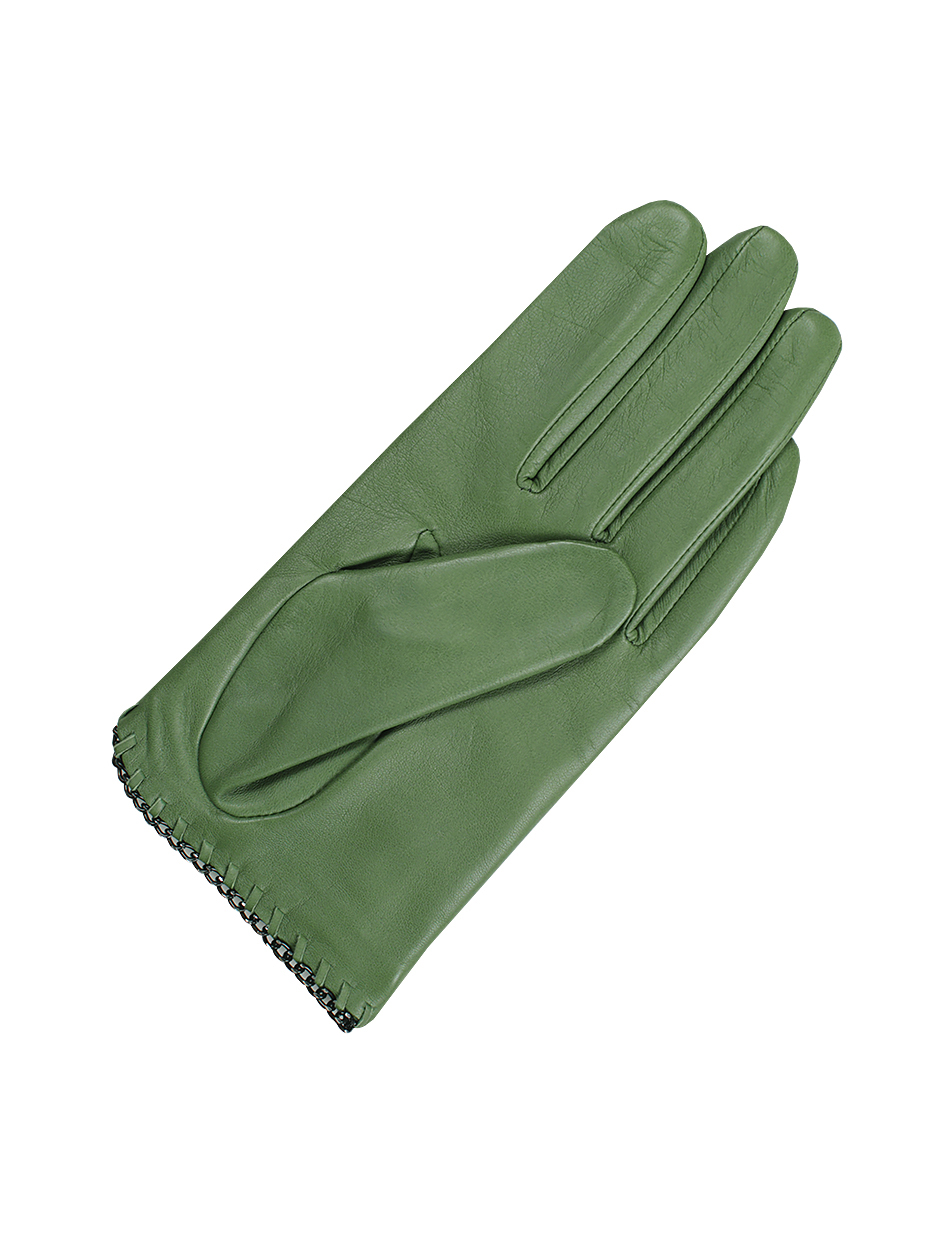 PL260R_green_leaf
