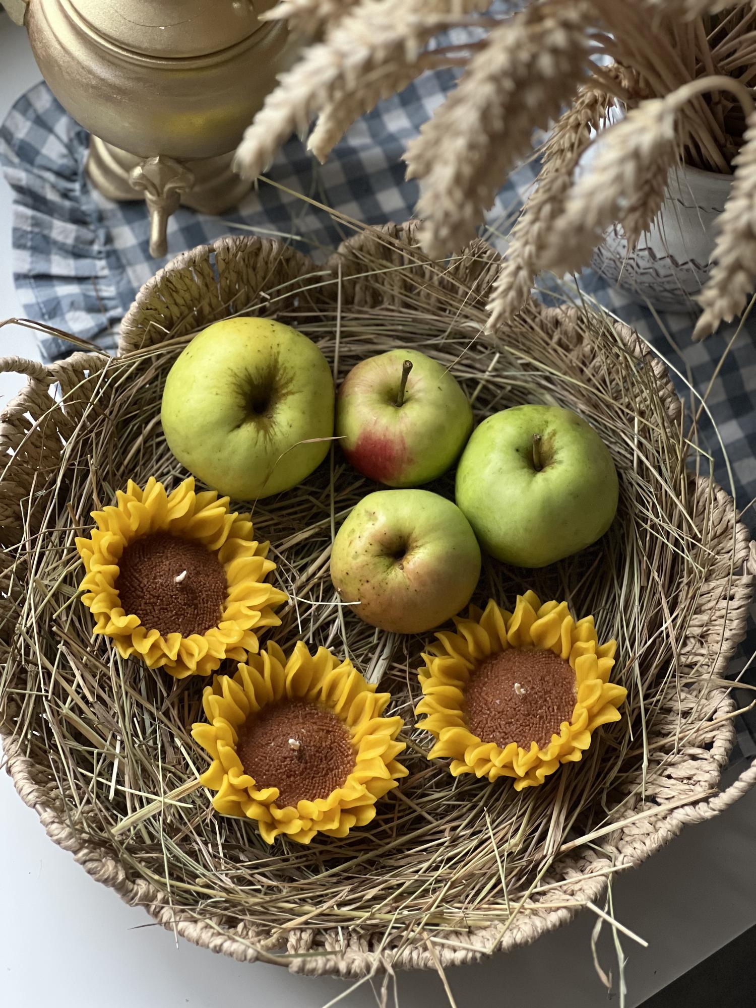 Свеча фигурная "Подсолух"