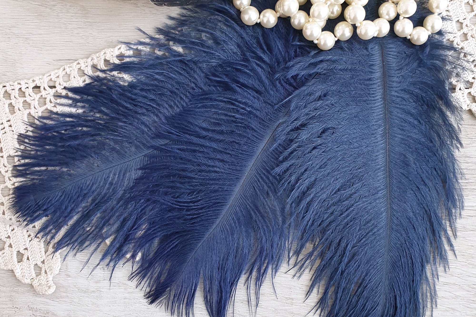 перья страуса