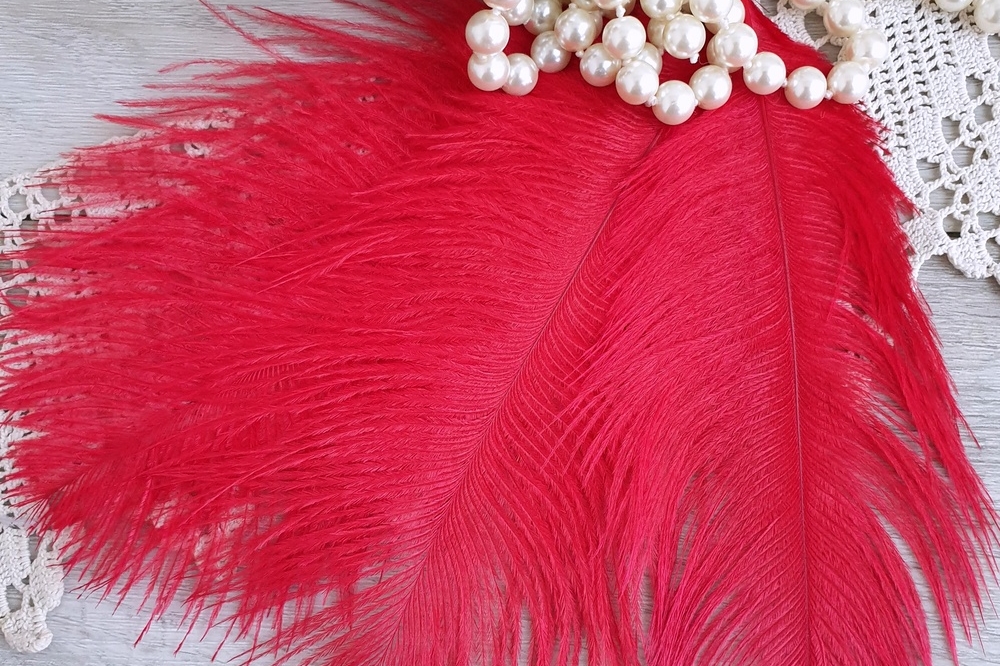 перья страуса