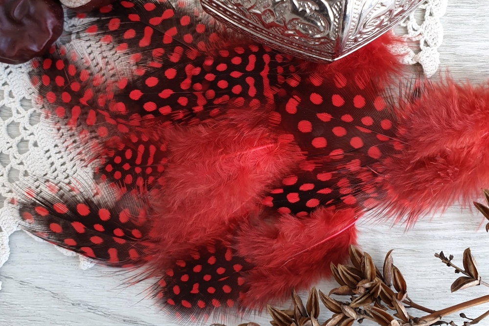 перья цесарки