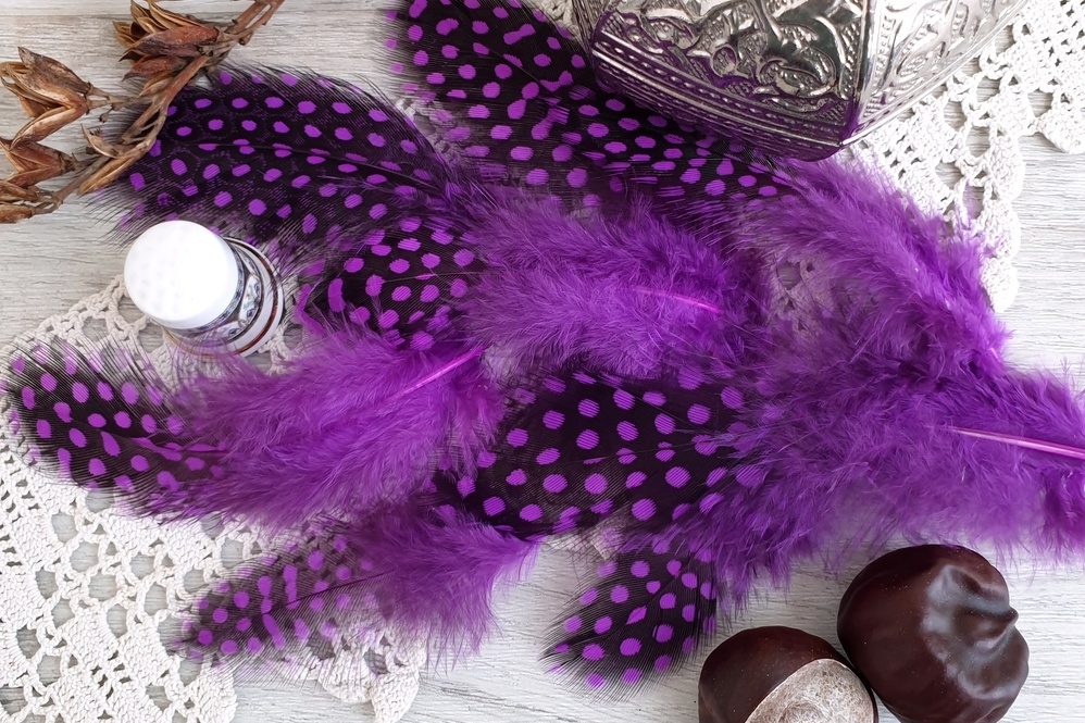 перья цесарки