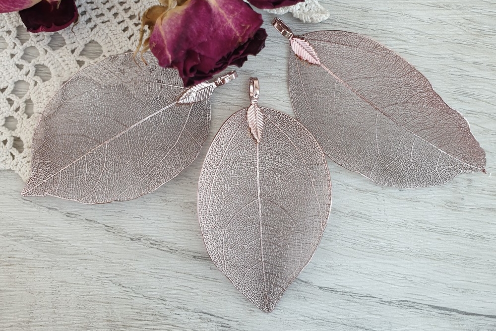 Скелетированые листья