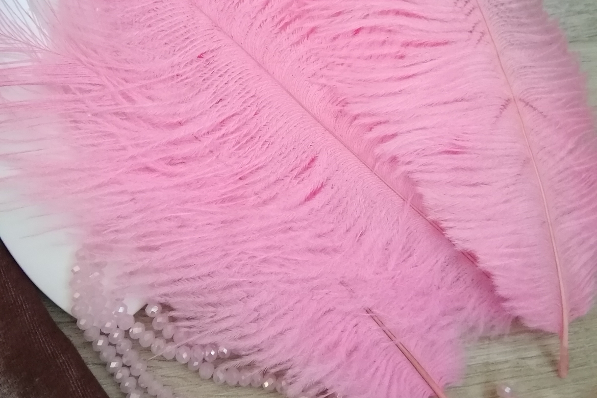 Перья страуса, перья страусиные