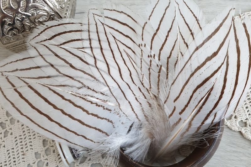 перья фазана