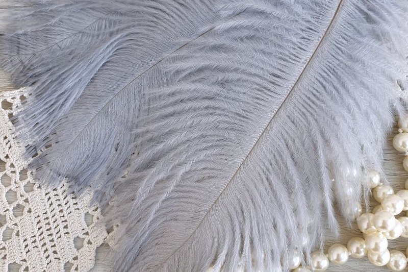 перья страуса