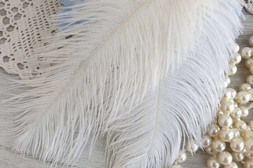 перья страуса