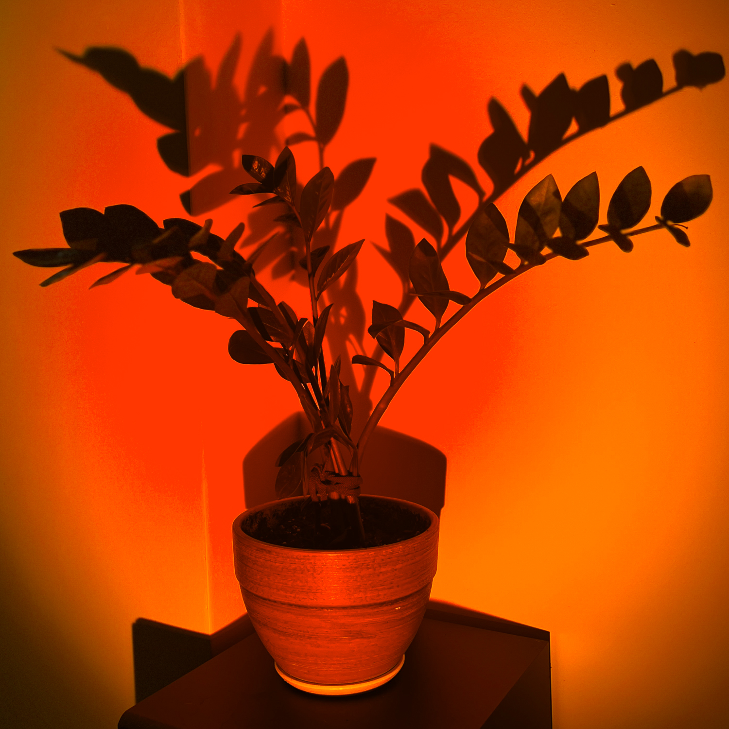 Sunset - фильтры для фотофонарей